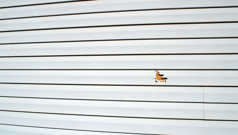 Inspection of Siding Condition